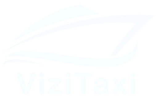 Vizitaxi